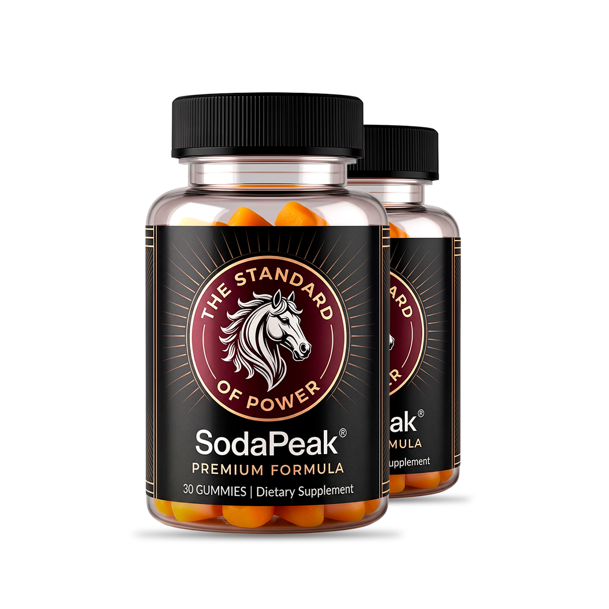 SodaPeak 2-bottle package