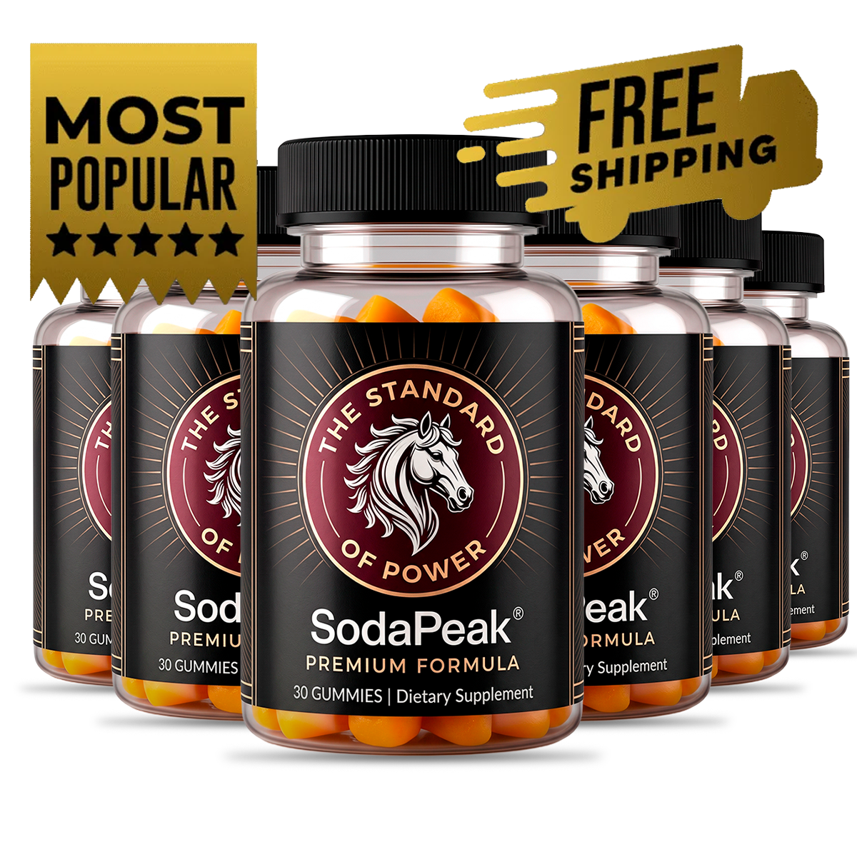 SodaPeak 6-bottle package